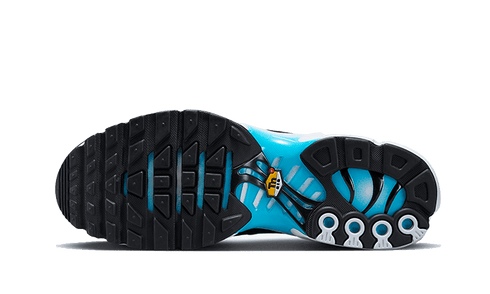 Nike Air Max Plus Baltic Blue